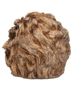 Albert Einstein Totenschädel 21cm 10 Albert Einstein Totenschädel 21cm -Spuk Dekor Geschaft albert einstein totenkopf albert einstein totenschaedel albert einstein skull 54562 04