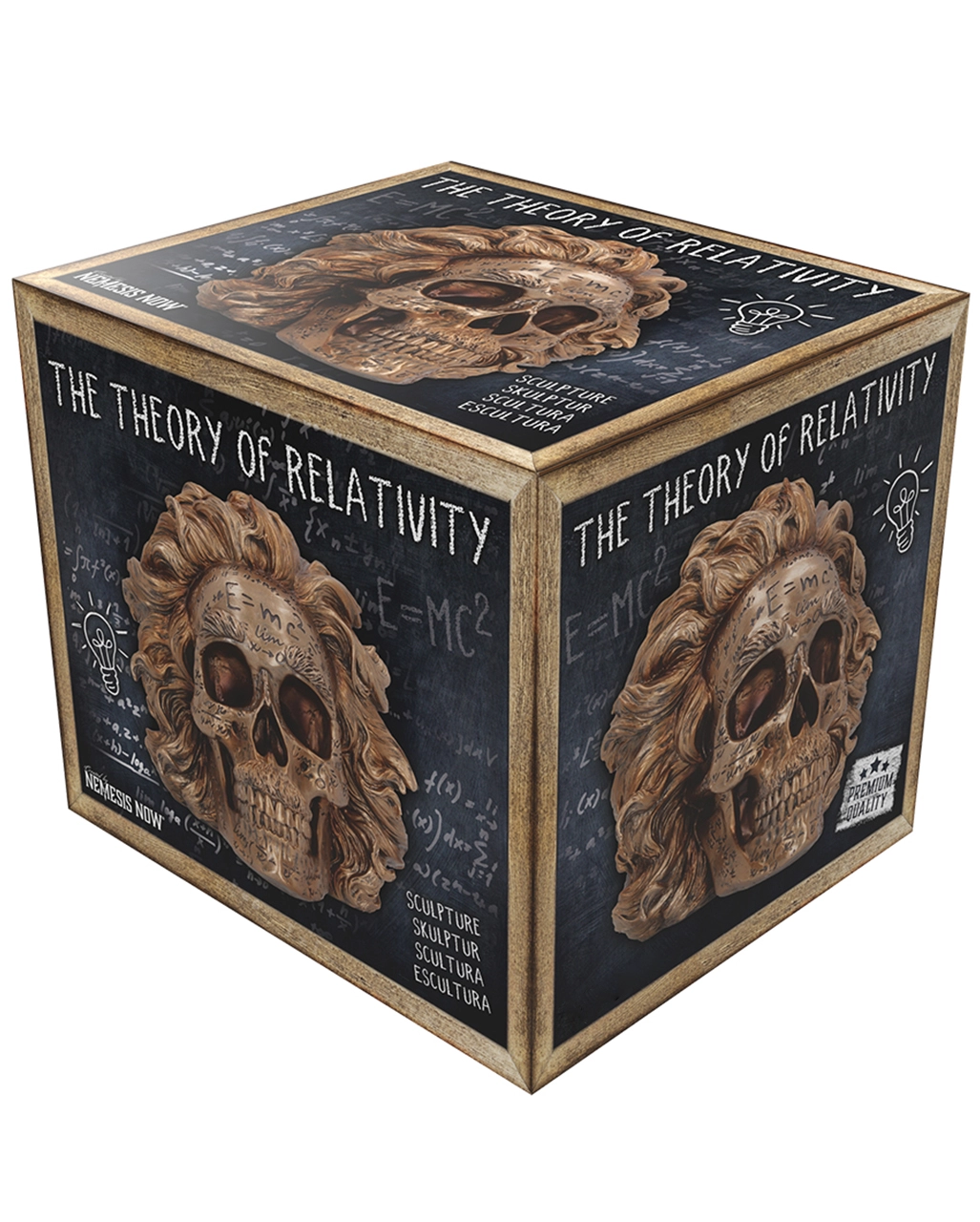 Albert Einstein Totenschädel 21cm 7 Albert Einstein Totenschädel 21cm – Bild 7