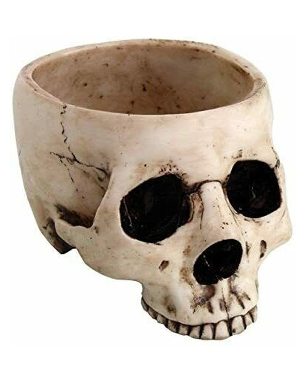 Spuk Dekor Geschaft -Spuk Dekor Geschaft antike totenkopf schale antike totenschaedelschale antic skull bowl 51433 01