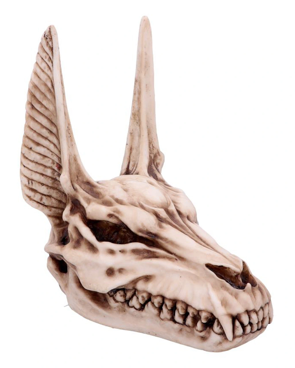 Spuk Dekor Geschaft -Spuk Dekor Geschaft anubis totenkopf figur anubis totenschaedel figur anubis skull figurine 51020 01