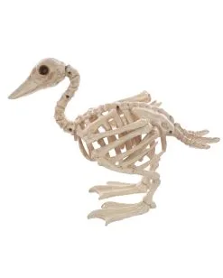 Skelett Baby Ente 19cm 5 Skelett Baby Ente 19cm -Spuk Dekor Geschaft baby skelett ente skeleton baby duck halloween duck 52639 03