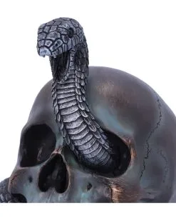 Schuppige Schlange In Totenkopf 19cm -Spuk Dekor Geschaft das schicksal der schlange gothic schaedel 19cm serpentine fate gothic snake skull gothic deko totenkopf 53993 5