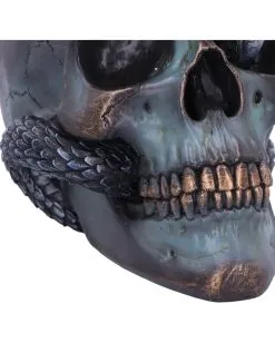 Schuppige Schlange In Totenkopf 19cm -Spuk Dekor Geschaft das schicksal der schlange gothic schaedel 19cm serpentine fate gothic snake skull gothic deko totenkopf 53993 6