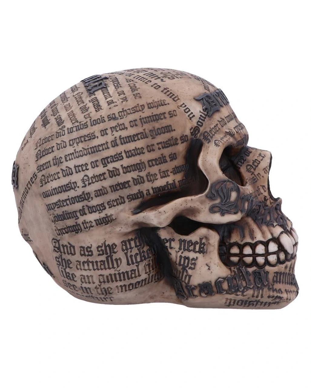 Dracula Totenkopf Mit Bram Stoker Zitaten 4 Dracula Totenkopf Mit Bram Stoker Zitaten – Bild 4