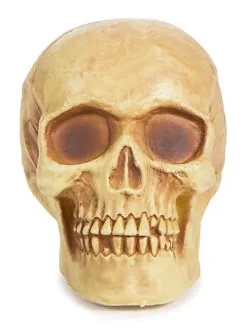 Halloween Antik-Totenschädel