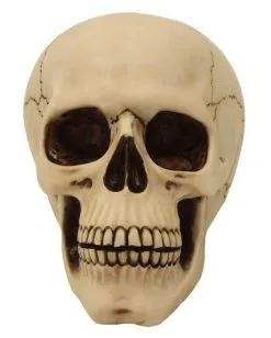 Graveyard Totenschädel Large -Spuk Dekor Geschaft graveyard totenkopf large graveyard totenschaedel graveyard skull large gothic deko 52351 02