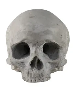 J. DOE Totenschädel 17cm -Spuk Dekor Geschaft j doe totenkopf j doe totenschaedel ghotic totenkopf gothic wohnaccessoire gothic homware 54856 03