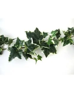 Mehrfarbige Efeugirlande 180cm -Spuk Dekor Geschaft mehrfarbige efeugirlande halloween efuegirlande variegarted ivy garland halloween deko 53712 03