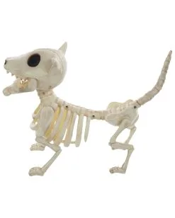 Hunde Skelett Mit Knochen 27cm -Spuk Dekor Geschaft skelett hund mit knochen hunde skelett mit knochen skeleton dog with bone 52641 03