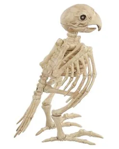 Papagei Skelett 19cm 6 Papagei Skelett 19cm -Spuk Dekor Geschaft skelett papagei skeleton parrot halloween dekoration 52638 03